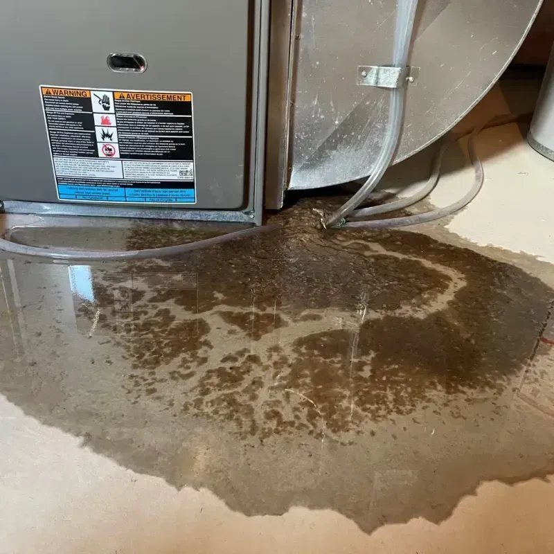 Appliance Leak Cleanup in Upland, CA